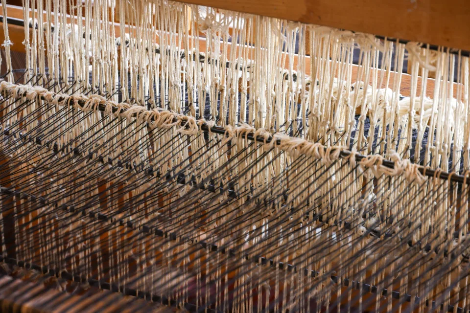 Warp threads on a carpet loom